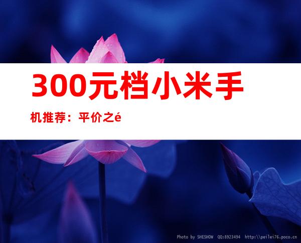 300元档小米手机推荐：平价之选，性价比出众